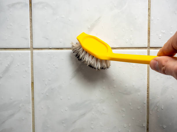 Best Mold Damage Repair  in Mitchell, NE