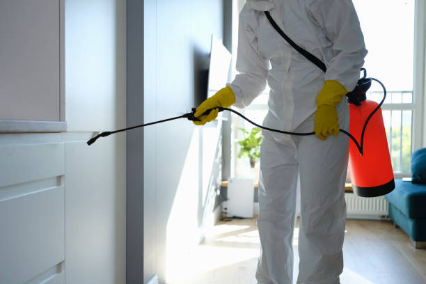 Attic Mold Removal in Mitchell, NE