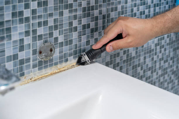 Best Toxic Mold Removal  in Mitchell, NE