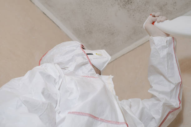 Best Emergency Mold Removal  in Mitchell, NE