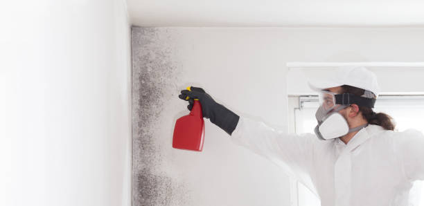 Best Crawl Space Mold Removal  in Mitchell, NE