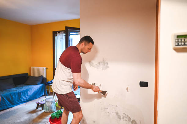 Best Professional Mold Removal  in Mitchell, NE
