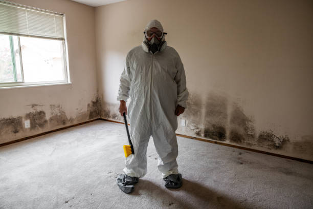 Best Home Mold Removal  in Mitchell, NE
